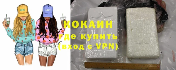 ГАЛЛЮЦИНОГЕННЫЕ ГРИБЫ Белокуриха