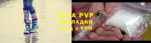 ГАЛЛЮЦИНОГЕННЫЕ ГРИБЫ Белокуриха