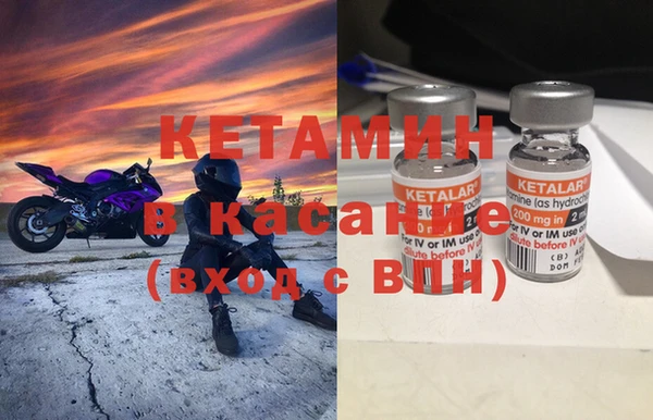 ГАЛЛЮЦИНОГЕННЫЕ ГРИБЫ Белокуриха