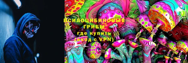 ГАЛЛЮЦИНОГЕННЫЕ ГРИБЫ Белокуриха