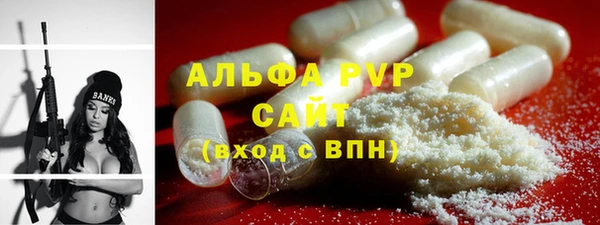 ГАЛЛЮЦИНОГЕННЫЕ ГРИБЫ Белокуриха