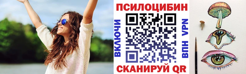 Псилоцибиновые грибы Psilocybine cubensis  купить   Дальнегорск 